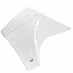 Fianco sinistro radiatore...