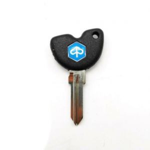 Sbozzato chiave con chip...