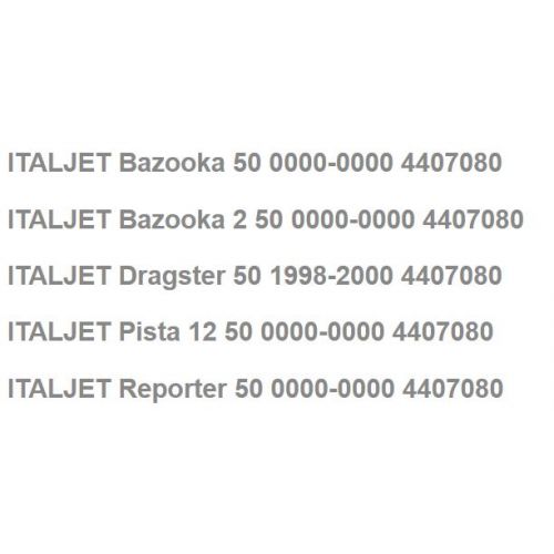Centralina CDI scooter 50 motore...