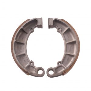 Coppia ceppi freno...