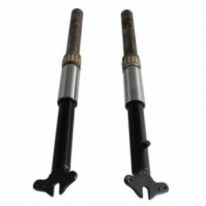 Coppia steli forcella per...