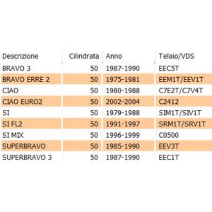 Retina filtro aria Ciao... 2