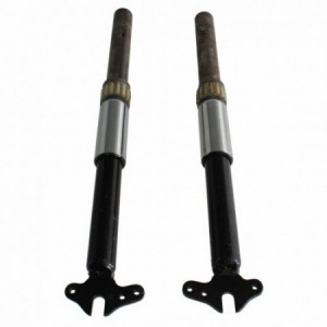 Coppia steli forcella per... 2