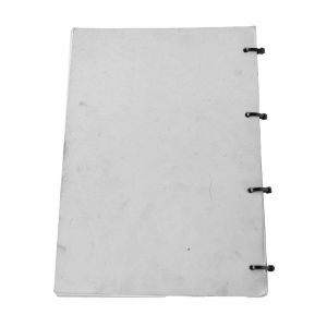 Variante manuale officina... 2