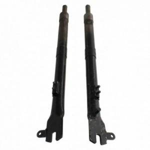 Coppia steli forcella...