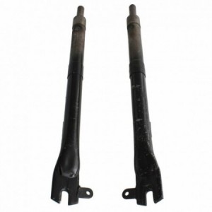 Coppia steli forcella... 2