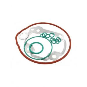 Kit guarnizioni TOP motori...