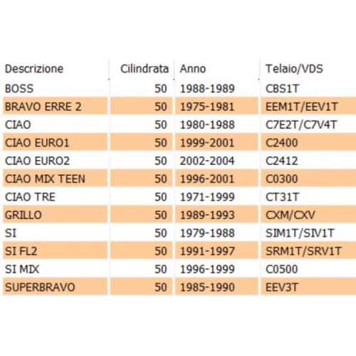 Astuccio rulli ciclomotori Piaggio...