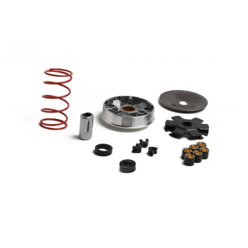 Variatore Piaggio Ciao Malossi 5118535