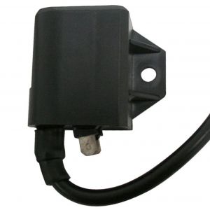 Bobina accensione motori...