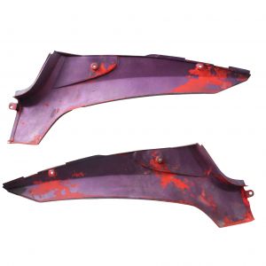 Coppia fianchetti... 2