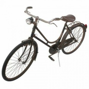 Bicicletta da donna Erre...