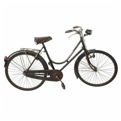 Bicicletta da donna Erre epoca Perla...