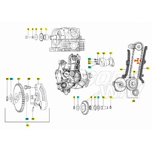 Catena distribuzione LML Star 4 tempi