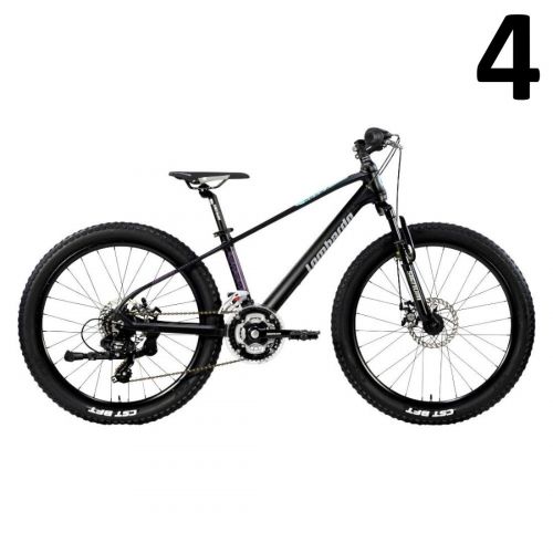 Mountain bike Lombardo Brera 24