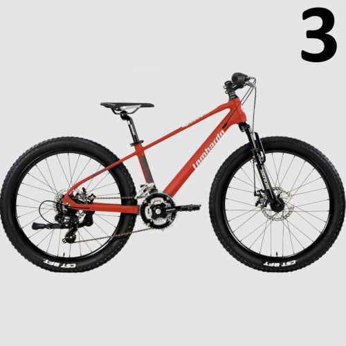 Mountain bike Lombardo Brera 24