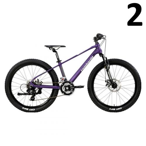 Mountain bike Lombardo Brera 24