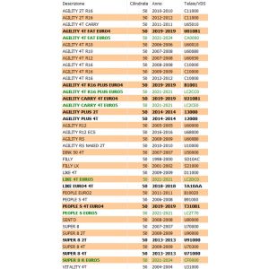 Rinvio motorino avviamento... 2