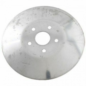 Semipuleggia condotta Vespa...