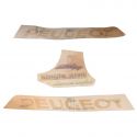 Kit incompleto adesivi laterali Peugeot Fight