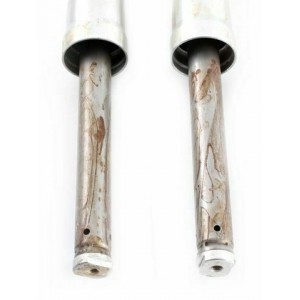 Coppia pompanti forcella... 2