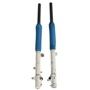 Coppia steli forcella... 2