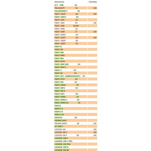 Spillo carburatore Guntner per scooter