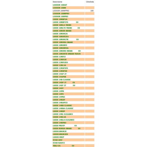 Spillo carburatore Guntner per scooter