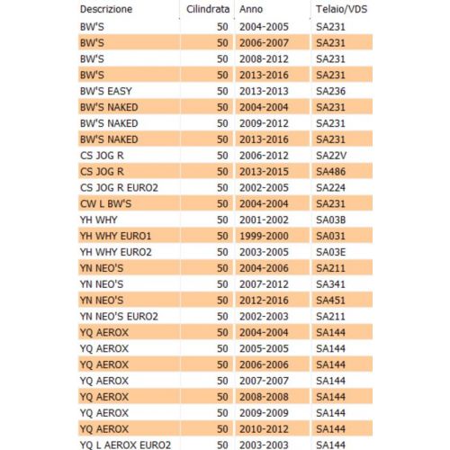 Spillo carburatore Guntner per scooter
