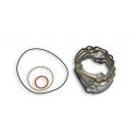 Kit guarnizioni gruppi termici Minarelli H2O 47,6 mm - Malossi 119421