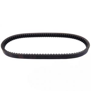 Cinghia trasmissione...