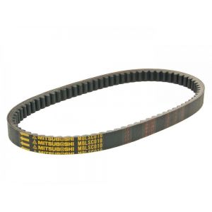 Cinghia distribuzione...