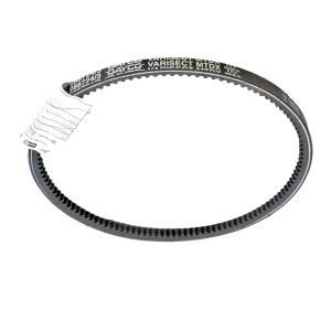 Cinghia alternatore Ape...