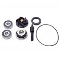 Kit revisione pompa acqua scooter Piaggio 250 300