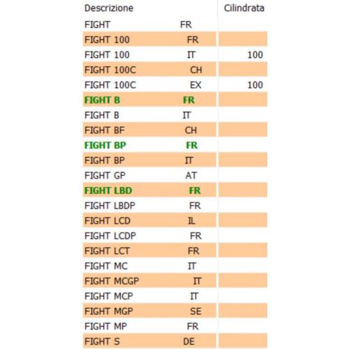 Faro posteriore Peugeot Speedfight