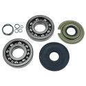 Kit revisione albero motore Vespa Sprint Super GTR TS