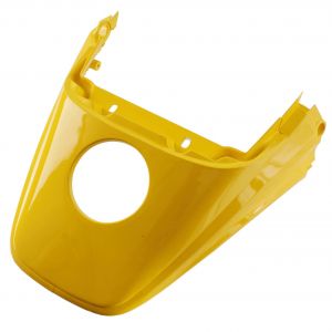 Codino posteriore Malaguti...