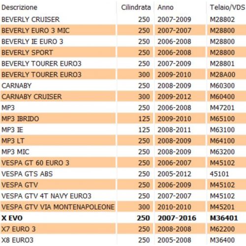 Statore Kokusan motore Piaggio Quasar...