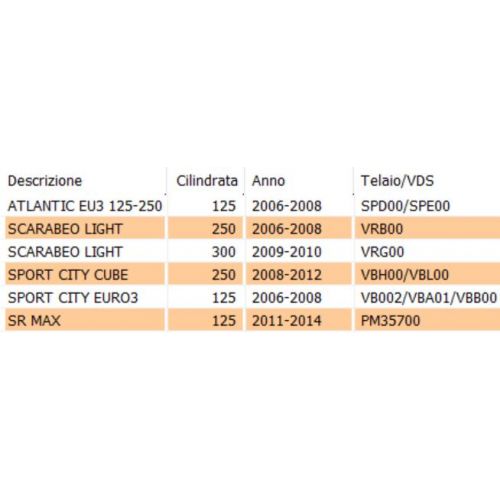 Statore Kokusan motore Piaggio Quasar...