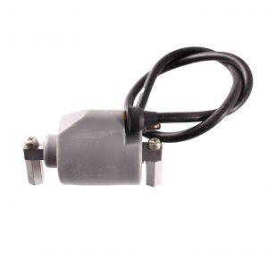 Bobina Ducati Energia... 2