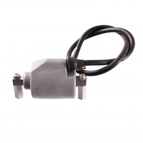 Bobina Ducati Energia IG32146I Ducati...