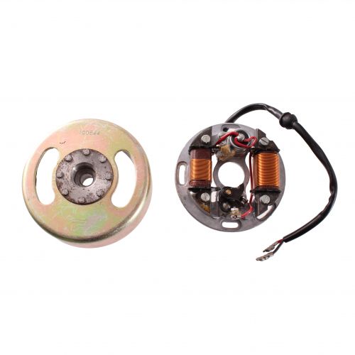 Volano con statore Dansi 100844...