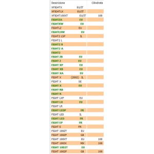 Ammortizzatore posteriore... 2