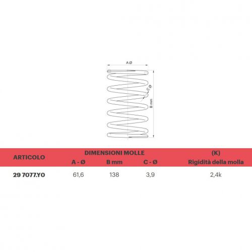 Molla variatore Malossi 297077Y0...