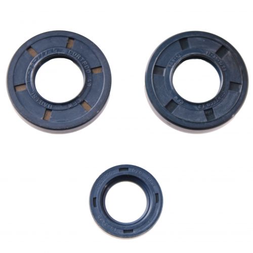 Kit paraoli Minarelli V1 KS corteco