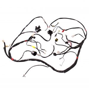 Impianto elettrico Malaguti...