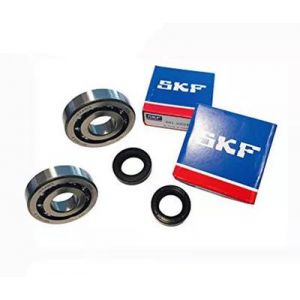 Kit cuscinetti e paraoli...