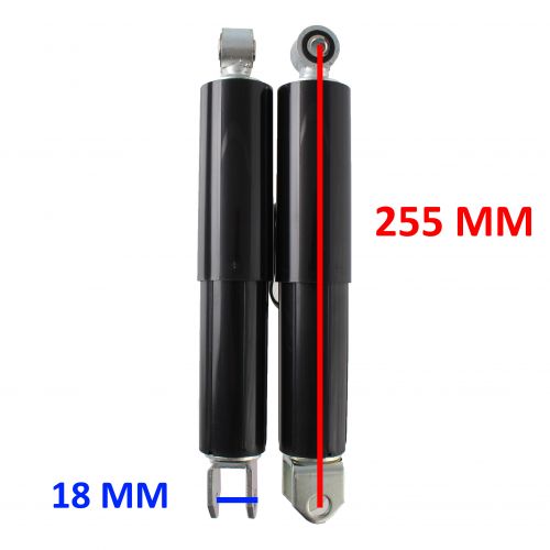 Coppia ammortizzatori anteriori...