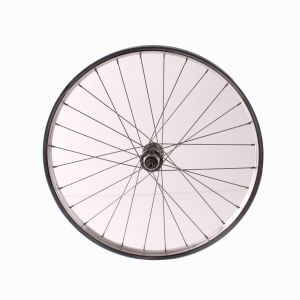 Ruota ciclo ferro del 20...