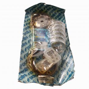 Variatore Polini 2414602... 2